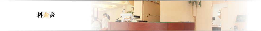 アリュー　料金表