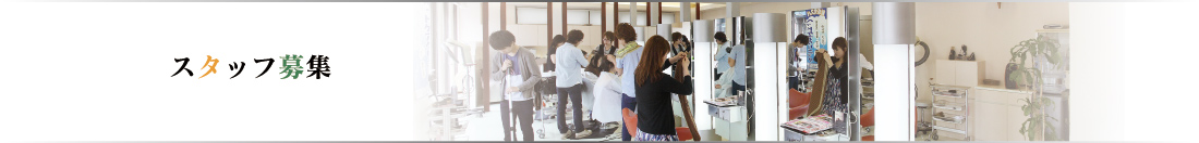 アリュー　スタッフ募集
